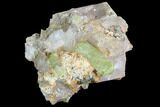 Lustrous, Yellow Apatite Crystals on Calcite - Morocco #84324-2